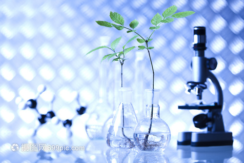 實驗室生物有機(jī)現(xiàn)代概念在生物研究中的核心應(yīng)用