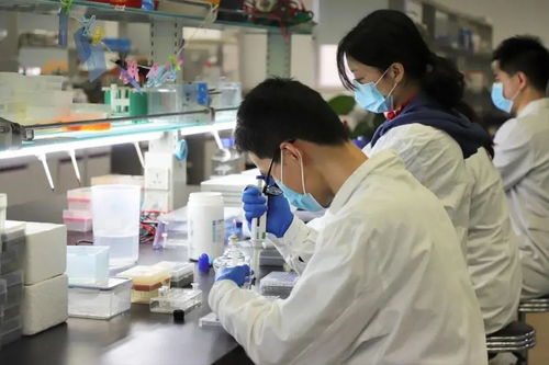 重慶醫(yī)藥健康雙軌并進(jìn) 218個(gè)藥品平均降價(jià)53%與三甲醫(yī)院擴(kuò)容至39家