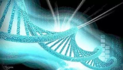 硬科技創(chuàng)業(yè)來西安丨天隆科技 以匠心耕耘數(shù)載，攜重器打破壟斷